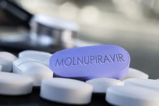 Việt Nam được Pfizer và MSD nhượng quyền sản xuất thuốc điều trị COVID-19