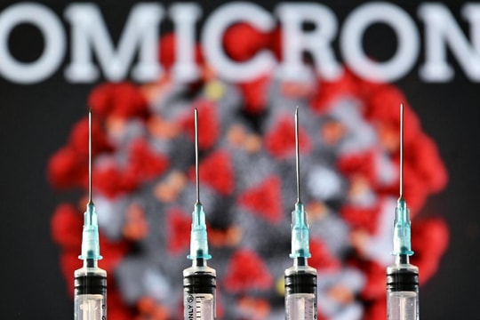 WHO: Omicron tấn công cả những người đã tiêm phòng hoặc đã khỏi COVID-19
