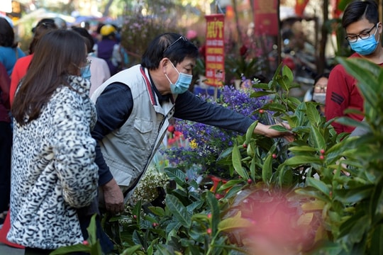 Toàn cảnh COVID-19 chiều 22/12: Tết Nhâm Dần 2022, về quê hay ở lại thành phố?