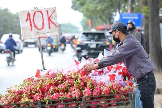 Đến lượt thanh long tắc biên được bán 'xả hàng', có nơi giá 3.500 đồng/kg