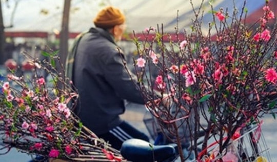 Miền Bắc sẽ đón bao nhiêu đợt rét đậm, rét hại trong tháng 1?