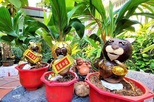 Hổ vằn ôm gốc dừa, bonsai độc giá 3 triệu đồng chơi Tết