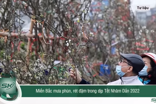 Dự báo thời tiết Tết Nguyên đán: Từ mùng 1 - mùng 7 miền Bắc đón đợt rét đậm, mưa phùn