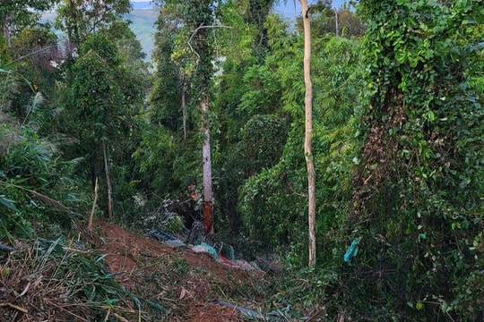 Danh tính 9 người thương vong trong vụ xe tải lao xuống vực ở Gia Lai