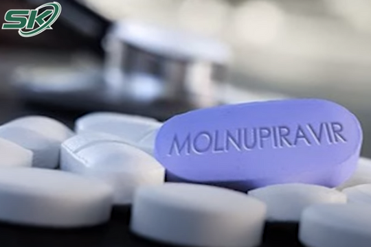 Ai không được dùng thuốc Molnupiravir để chữa COVID-19?