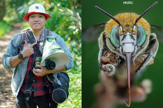 Thế giới tự nhiên độc lạ và ấn tượng qua ống kính macro của nhiếp ảnh gia 8X