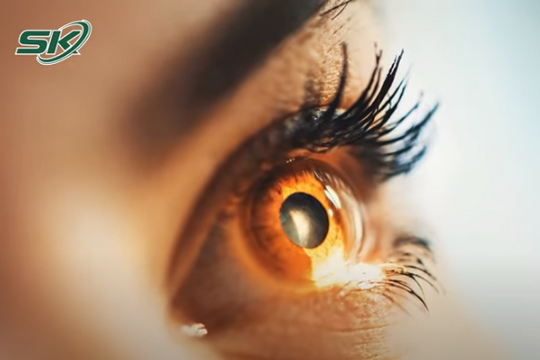 Sáng 16/4: Cảnh báo biến chứng hậu COVID-19 mới - máu đông trong võng mạc