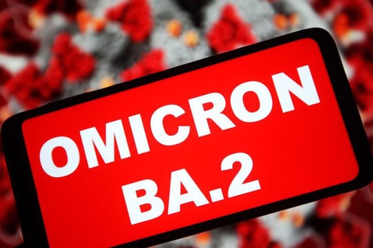 2 dòng phụ của biến thể BA.2 tàng hình nguy hiểm như thế nào?