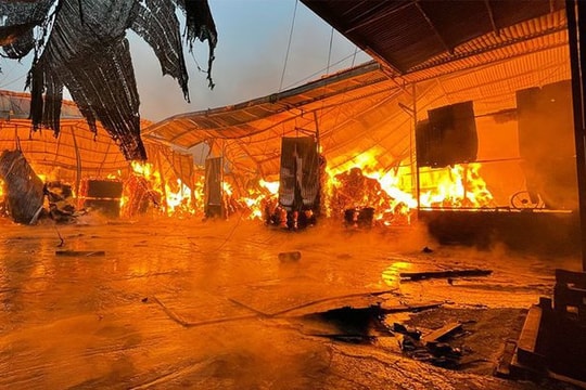 11 xe cứu hoả dập tắt đám cháy xưởng gỗ rạng sáng 1/5