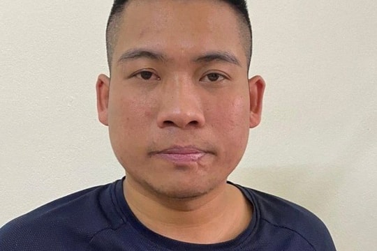 Pháp luật tuần qua: Khởi tố tài xế lấy điện thoại của 2 du khách Nga; Bắt chủ khu đất 'Tịch thất Bồng Lai'