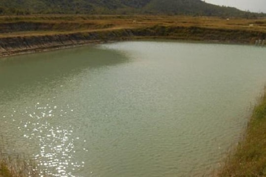 Bắt khẩn cấp nghi can giết chồng dìm xác dưới ao