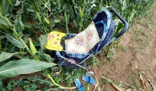 Ám ảnh hàng loạt vụ ôm con tự tử: Khi những đứa trẻ vô tội phải hứng chịu cái chết thương tâm