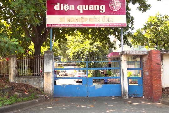 Khởi tố vụ chôn chất thải nguy hại trong xí nghiệp bóng đèn Điện Quang