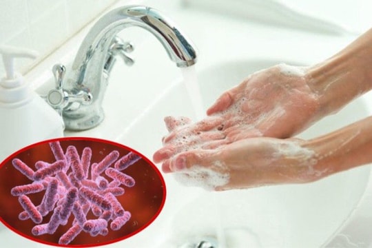 Cảnh báo 'vi khuẩn ăn thịt người' xuất hiện trở lại, làm sao để phòng tránh?