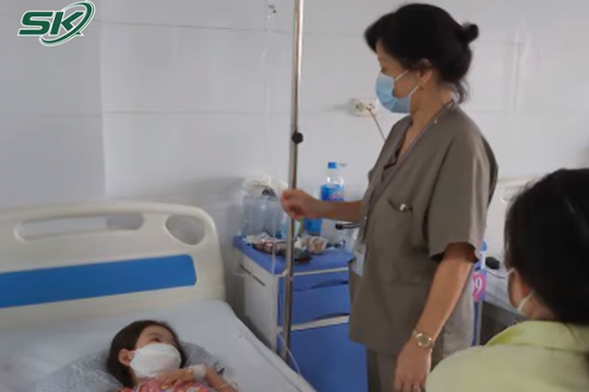 Dịch sốt xuất huyết tăng cao, Bộ Y tế yêu cầu các địa phương giám sát chặt