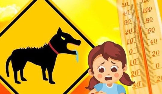 Nắng nóng đề phòng bệnh dại gia tăng