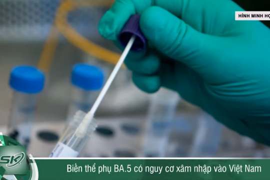 Cảnh báo nguy cơ biến thể phụ của Omicron - BA.5 có thể xâm nhập Việt Nam