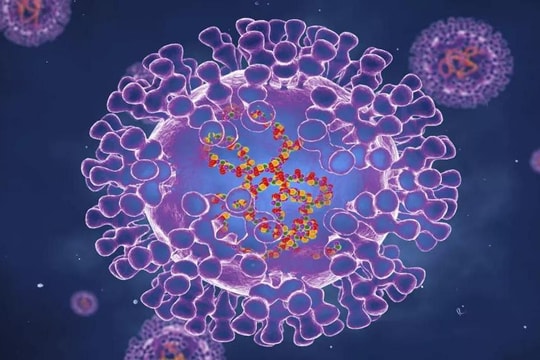Virus đậu mùa khỉ: Đột biến nhanh gấp 12 lần so với virus thông thường 