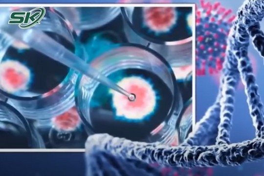 Bộ Y tế dự báo số ca mắc biến thể BA.5 sẽ gia tăng do khả năng lây lan nhanh