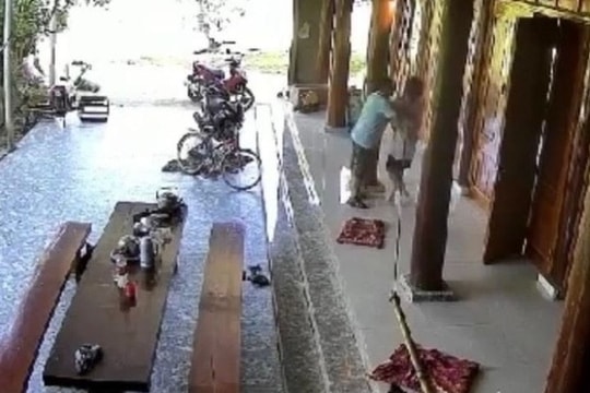 Cưỡng hôn nữ sinh lớp 10, Chủ tịch MTTQ xã bị đình chỉ công tác