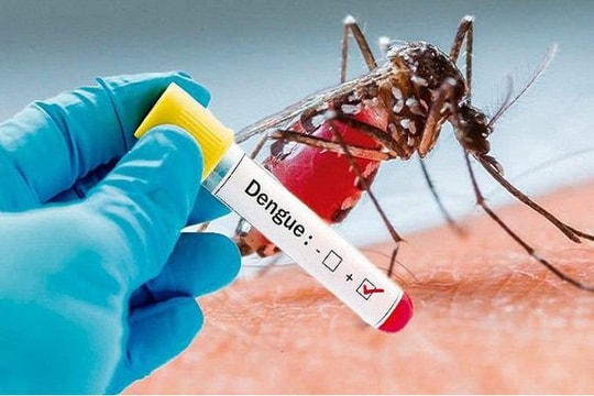 Miền Bắc đứng trước nguy cơ bùng dịch sốt xuất huyết do số ca mắc tăng cao