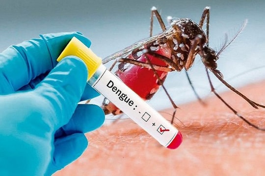 Số ca mắc sốt xuất huyết liên tục tăng cao tại nhiều địa phương