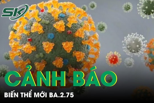 Giới khoa học cảnh báo về sự xuất hiện của biến thể mới BA.2.75