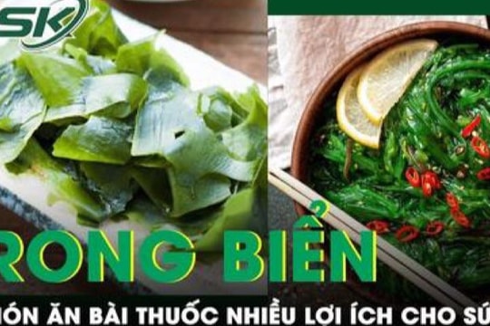 Món ăn và bài thuốc cực tốt từ rong biển