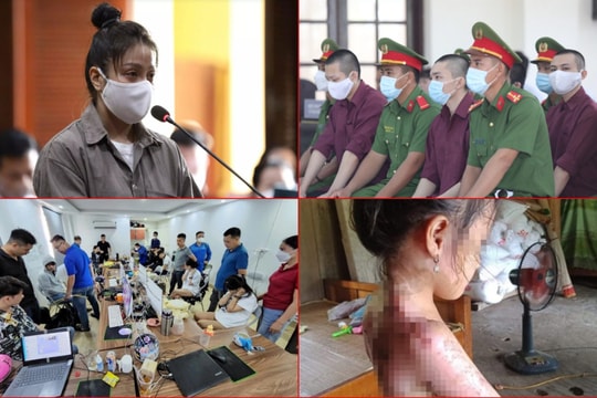 Pháp luật tuần qua: Điều tra bổ sung vụ bé gái 8 tuổi bị bạo hành; Lê Tùng Vân lĩnh 5 năm tù