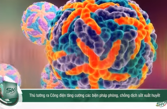 Dịch sốt xuất huyết phức tạp, Thủ tướng ra công điện tăng cường các biện pháp phòng, chống