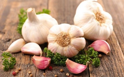 7 loại rau gia vị hỗ trợ trị cúm A