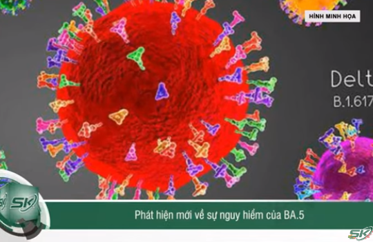 Lo ngại về sự nguy hiểm của biến thể Omicron BA.4 và BA.5
