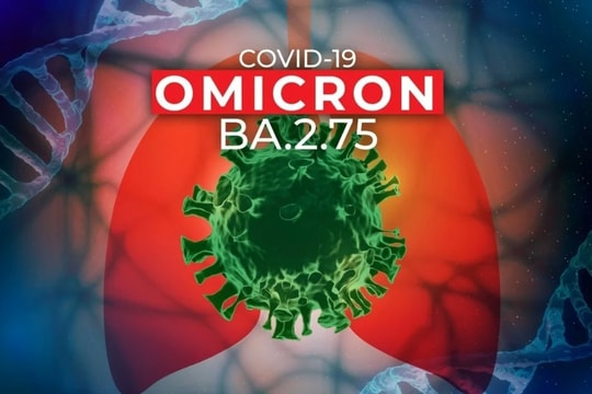 Biến thể BA.2.75 của Omicron có nguy hiểm không?