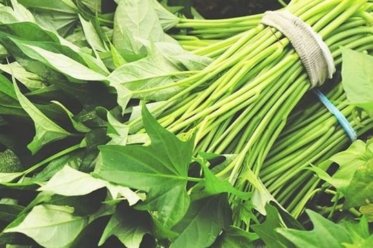 Rau lang và những tác dụng không ngờ nối với sức khỏe