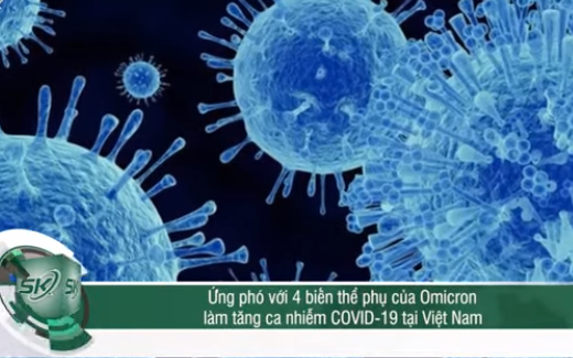 Việt Nam ứng phó với 4 biến thể phụ của Omicron làm gia tăng ca nhiễm COVID-19
