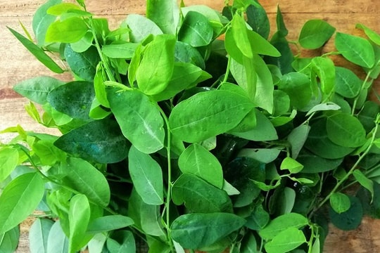 Rau ngót rất tốt nhưng có nên ăn hằng ngày không?