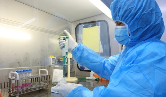 60% mẫu giải trình tự gen ca COVID-19 ở các tỉnh phía Bắc nhiễm biến thể BA.5