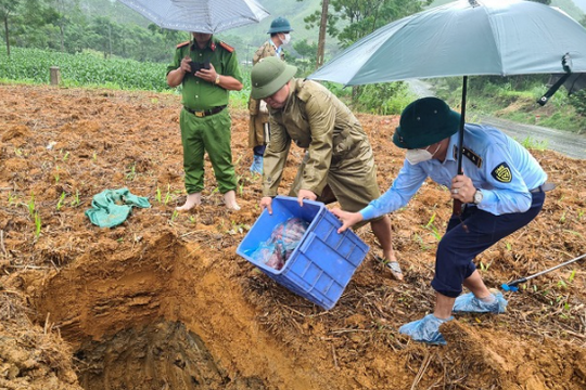 Sơn La: Tiêu hủy hơn 100kg sản phẩm động vật không rõ nguồn gốc
