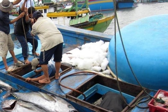 Nhiều vụ ngư dân ngạt khí độc dưới hầm chứa cá, làm gì để phòng ngừa?