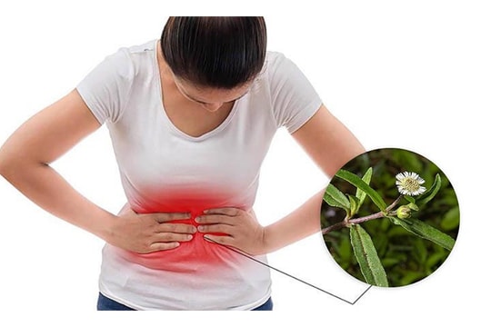 Một số bài thuốc dân gian đơn giản hỗ trợ điều trị đau dạ dày