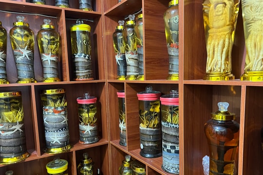 Hà Nội: Tạm giữ hơn 900 lít rượu không rõ nguồn gốc xuất xứ.