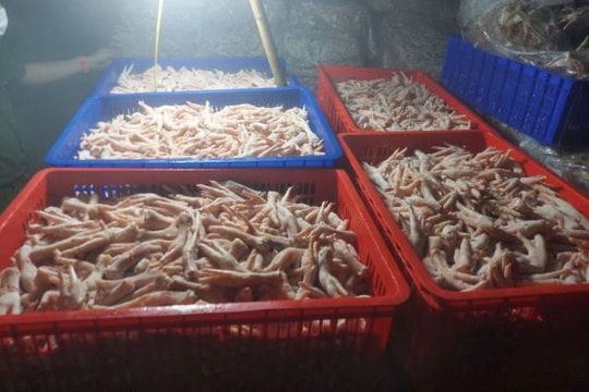 Xử lý doanh nghiệp nhập lậu hơn 3 tấn chân gà đông lạnh không rõ nguồn gốc xuất xứ