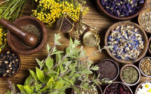 Bị suy thận do uống thuốc lá chữa ung thư cổ tử cung