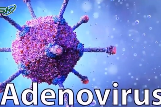 Số ca mắc virus Adeno ngày một tăng cao, nguy cơ bùng phát dịch?
