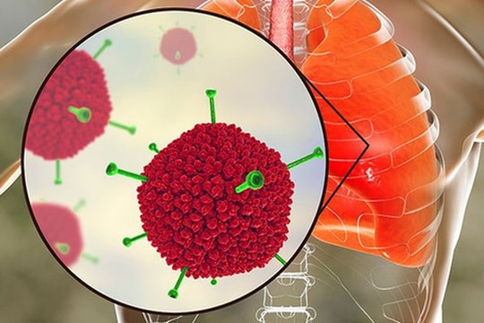 Con đường lây lan virus Adeno và cách phòng ngừa