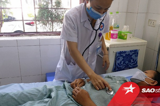 Quảng Ninh: Bị ong vò vẽ đốt trên 70 nốt dẫn đến sốc phản vệ