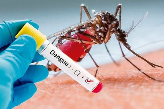 Bản tin sức khỏe: Báo động số ca mắc sốt xuất huyết tiếp tục tăng cao, nguy cơ dịch lớn