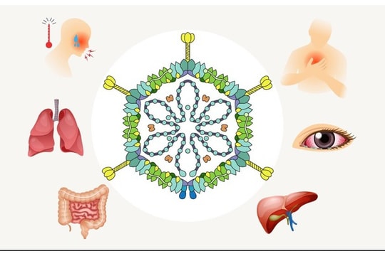  Cha mẹ cần làm gì để phòng tránh Adenovirus cho trẻ?