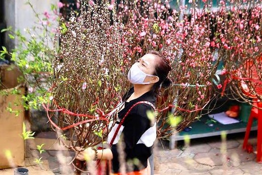 Chốt trình phương án nghỉ 7 ngày dịp Tết Nguyên đán 2023 cho Chính phủ xem xét