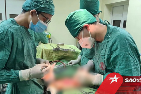 Quảng Ninh: Cứu sống sản phụ vỡ khối chửa ngoài tử cung